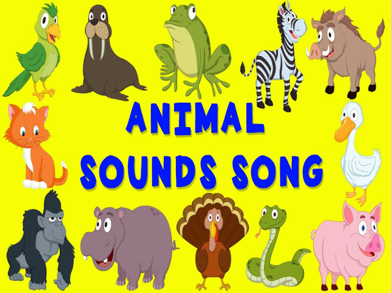 Animals Sound Song bài hát tiếng Anh giai điệu vui tươi cho bé