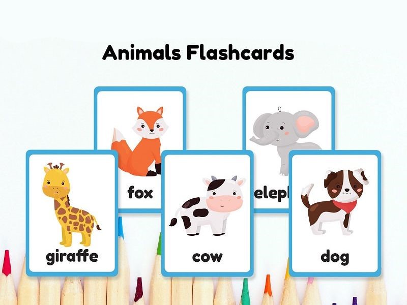 Flashcard từ vựng về động vật