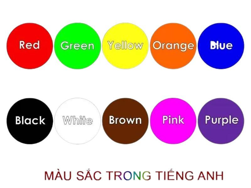 Từ vựng tiếng Anh về màu sắc được trẻ yêu thích.